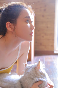 花翎飞盗